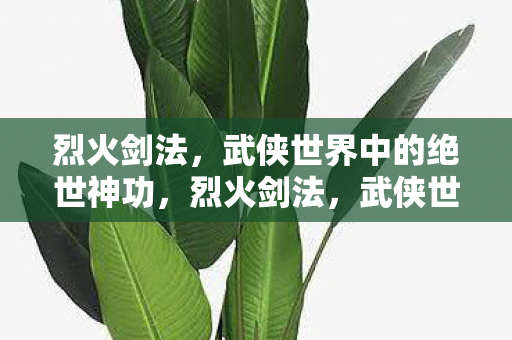 烈火剑法，武侠世界中的绝世神功，烈火剑法，武侠世界中的绝世神功