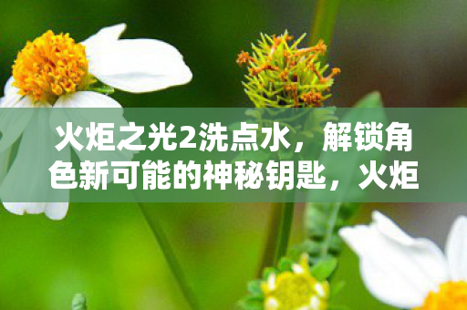 解锁角色新可能的神秘钥匙图片