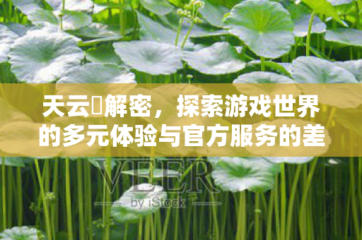 天云峠解密，探索游戏世界的多元体验与官方服务的差异，天云峠解密，游戏世界多元体验与官方服务差异