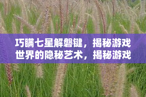 巧瞒七星解磐键，揭秘游戏世界的隐秘艺术，揭秘游戏世界的隐秘艺术，巧瞒七星解磐键