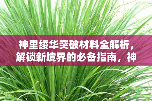 神里绫华突破材料全解析，解锁新境界的必备指南，神里绫华突破材料全攻略，解锁新境界的必备指南