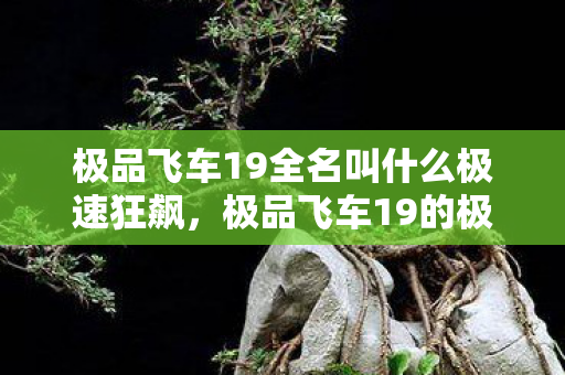 极品飞车19全名叫什么极速狂飙，极品飞车19的极致体验，极速狂飙，极品飞车19的极致体验