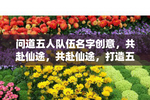 问道五人队伍名字创意，共赴仙途，共赴仙途，打造五人队伍名字创意