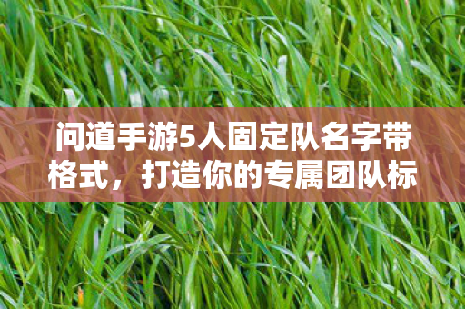 问道手游打造你的专属5人固定队名字图片