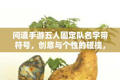 问道手游五人固定队名字带符号，创意与个性的碰撞，问道手游五人固定队，创意符号与个性碰撞的队名