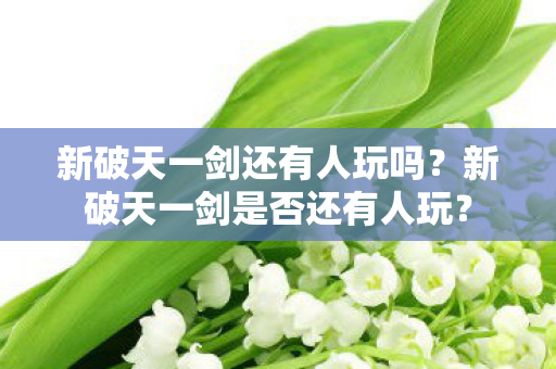 新破天一剑是否还有人玩图片