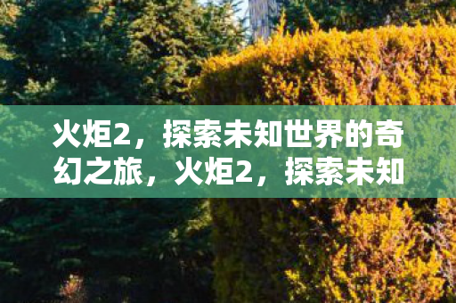 火炬2,探索未知世界的奇幻之旅,火炬2,探索未知世界的奇幻之旅 火炬2,探索未知世界的奇幻之旅,火炬2,探索未知世界的奇幻之旅