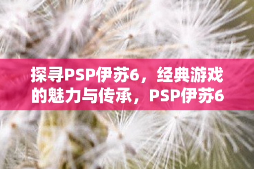 探寻PSP伊苏6，经典游戏的魅力与传承，PSP伊苏6，经典游戏的魅力与传承