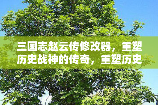 三国志赵云传修改器，重塑历史战神的传奇，重塑历史战神的传奇，三国志赵云传修改器