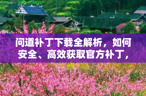 问道补丁下载全解析，如何安全、高效获取官方补丁，问道补丁安全高效下载全攻略