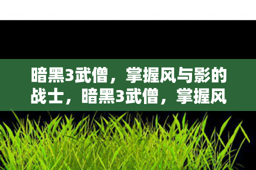 暗黑3武僧，掌握风与影的战士，暗黑3武僧，掌握风与影的战士