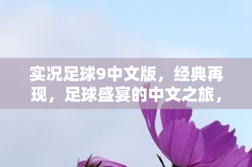 实况足球9中文版，经典再现，足球盛宴的中文之旅，实况足球9中文版，重温经典，足球盛宴的中文之旅