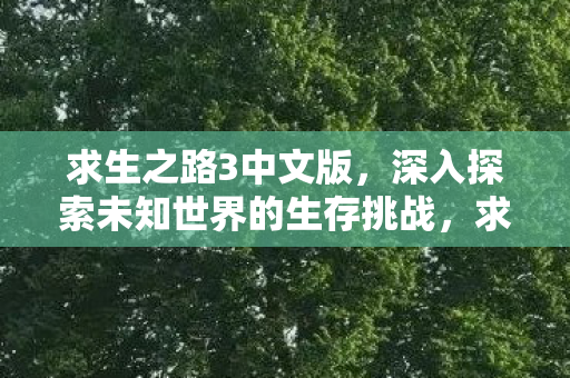 求生之路3中文版，深入探索未知世界的生存挑战，求生之路3中文版，深入探索未知世界的生存挑战