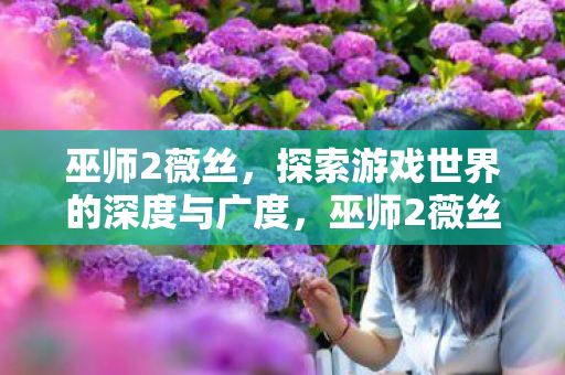 巫师2薇丝，探索游戏世界的深度与广度，巫师2薇丝，探索游戏世界的深度与广度