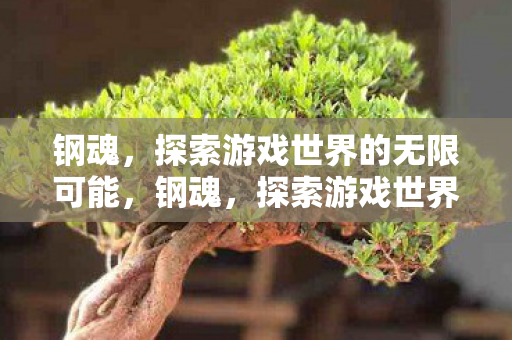 钢魂,探索游戏世界的无限可能,钢魂,探索游戏世界的无限可能 钢魂,探索游戏世界的无限可能,钢魂,探索游戏世界的无限可能