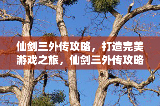 仙剑三外传攻略，打造完美游戏之旅，仙剑三外传攻略，打造完美游戏之旅