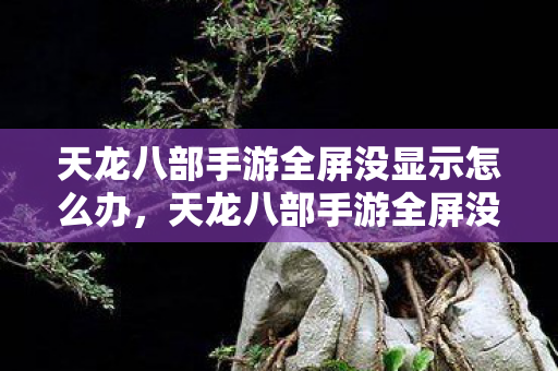天龙八部手游全屏没显示问题解决方法图片