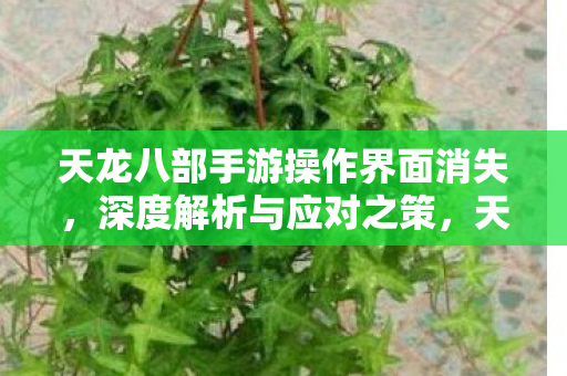 天龙八部手游操作界面消失图片
