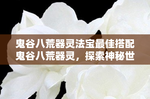 鬼谷八荒器灵法宝最佳搭配鬼谷八荒器灵,探索神秘世界的得力助手,鬼谷八荒,器灵法宝最佳搭配,助你探索神秘世界 鬼谷八荒器灵法宝最佳搭配鬼谷八荒器灵,探索神秘世界的得力助手,鬼谷八荒,器灵法宝最佳搭配,助你探索神秘世界