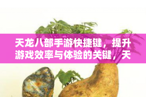 天龙八部手游快捷键,提升游戏效率与体验的关键,天龙八部手游快捷键,提升游戏效率与体验的关键 天龙八部手游快捷键,提升游戏效率与体验的关键,天龙八部手游快捷键,提升游戏效率与体验的关键