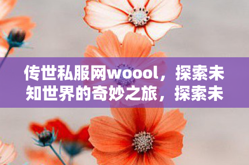 传世私服网woool,探索未知世界的奇妙之旅,探索未知世界的奇妙之旅,传世私服网woool 传世私服网woool,探索未知世界的奇妙之旅,探索未知世界的奇妙之旅,传世私服网woool