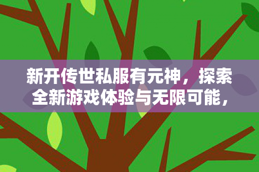 新开传世私服有元神,探索全新游戏体验与无限可能,探索全新传世私服,元神降临,开启无限游戏体验 新开传世私服有元神,探索全新游戏体验与无限可能,探索全新传世私服,元神降临,开启无限游戏体验