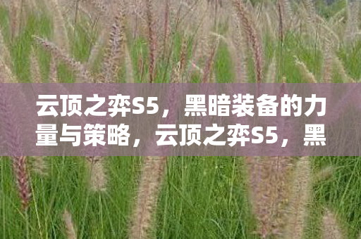 云顶之弈S5,黑暗装备的力量与策略,云顶之弈S5,黑暗装备的力量与策略解析 云顶之弈S5,黑暗装备的力量与策略,云顶之弈S5,黑暗装备的力量与策略解析