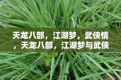 天龙八部，江湖梦，武侠情，天龙八部，江湖梦与武侠情交织的传奇