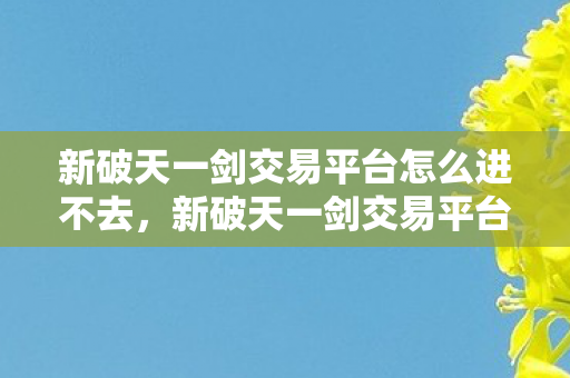 新破天一剑交易平台无法登录的解决方法图片