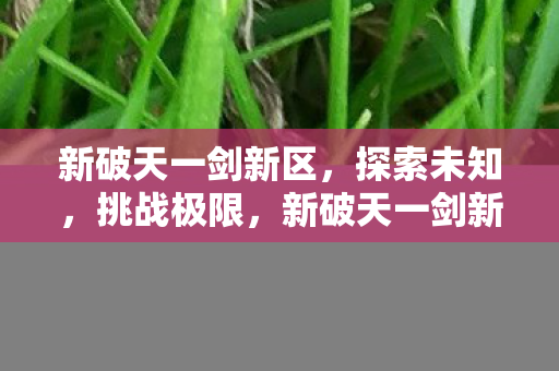 新破天一剑新区图片