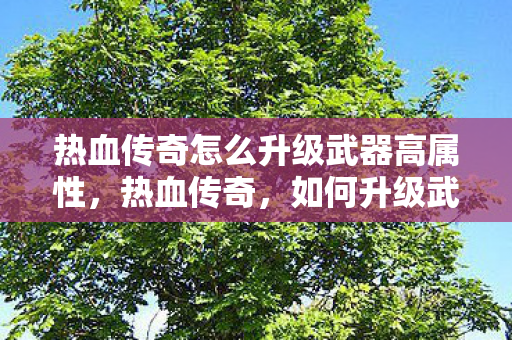 热血传奇怎么升级武器高属性图片