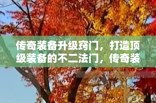 打造顶级装备的不二法门图片
