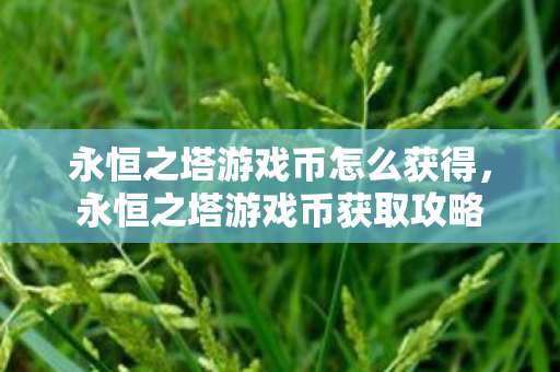 永恒之塔游戏币怎么获得图片