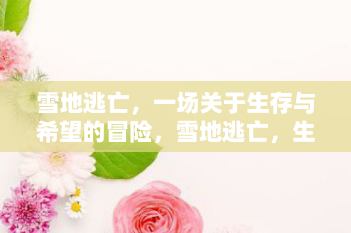 雪地逃亡，一场关于生存与希望的冒险，雪地逃亡，生存与希望的冒险之旅