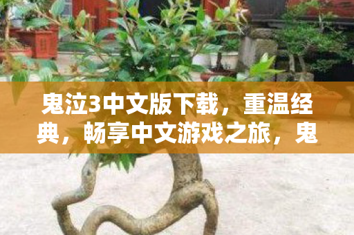 鬼泣3中文版下载，重温经典，畅享中文游戏之旅，鬼泣3中文版下载，重温经典，畅享中文游戏之旅