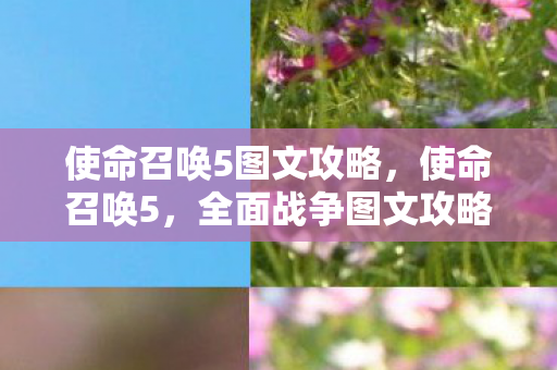 使命召唤5图文攻略，使命召唤5，全面战争图文攻略