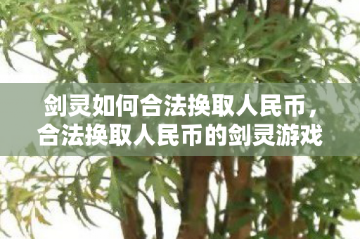 剑灵如何合法换取人民币，合法换取人民币的剑灵游戏攻略