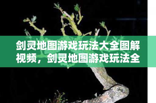 剑灵地图游戏玩法大全图解视频图片