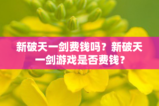 新破天一剑游戏是否费钱图片