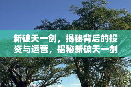 揭秘新破天一剑背后的投资与运营之道图片