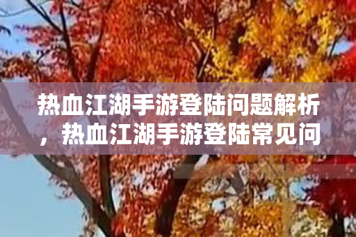 热血江湖手游登陆常见问题解析图片