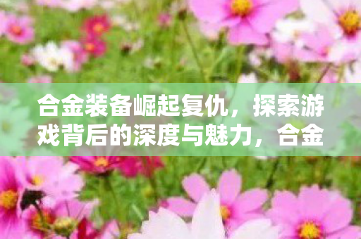 合金装备崛起复仇,探索游戏背后的深度与魅力,合金装备崛起复仇,探索游戏背后的深度与魅力 合金装备崛起复仇,探索游戏背后的深度与魅力,合金装备崛起复仇,探索游戏背后的深度与魅力