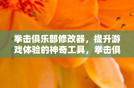 拳击俱乐部修改器，提升游戏体验的神奇工具，拳击俱乐部修改器，提升游戏体验的神奇工具