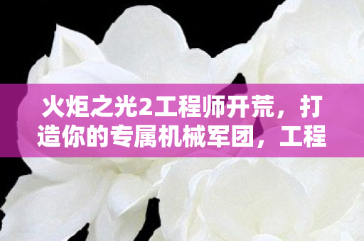 火炬之光2工程师开荒图片