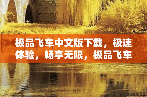 极品飞车中文版下载，极速体验，畅享无限，极品飞车中文版下载，极速体验，畅享无限