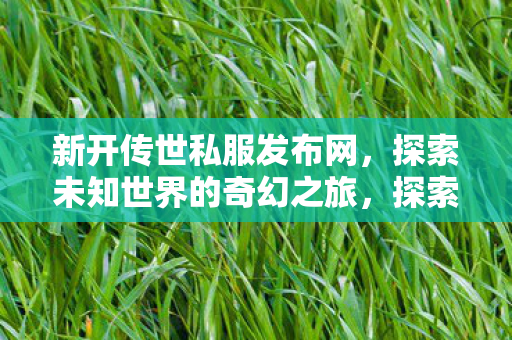 新开传世私服发布网，探索未知世界的奇幻之旅，探索未知世界的奇幻之旅，新开传世私服发布网