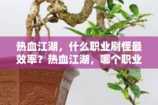 热血江湖，什么职业刷怪最效率？热血江湖，哪个职业刷怪效率最高？