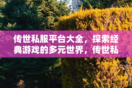 传世私服平台大全，探索经典游戏的多元世界，传世私服平台大全，探索经典游戏的多元世界