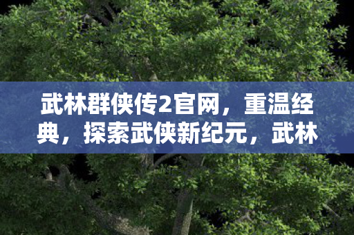 武林群侠传2官网，重温经典，探索武侠新纪元，武林群侠传2官网开启，重温经典武侠新纪元