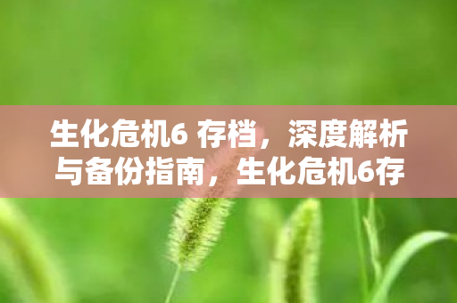 生化危机6 存档，深度解析与备份指南，生化危机6存档解析与备份全攻略